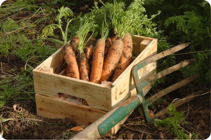 EIFEL BIO Humus kaufen Nachhaltiger Bodenverbesserer für deinen Garten
